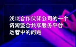 浅谈合作伙伴公司的一个资源整合